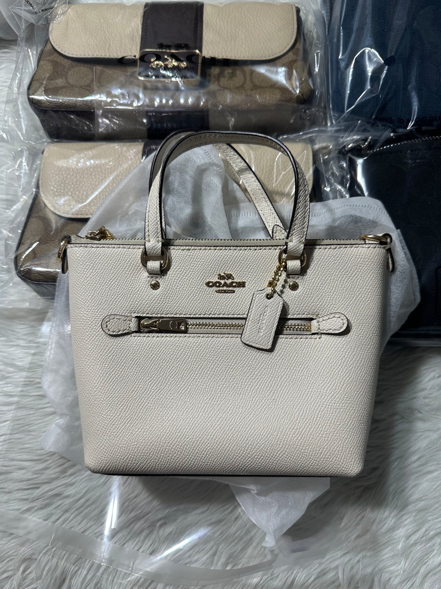 AUTHENTIC/ORIGINAL Coach Preloved Mini Gallery Crossbody Bag in White/Chalk