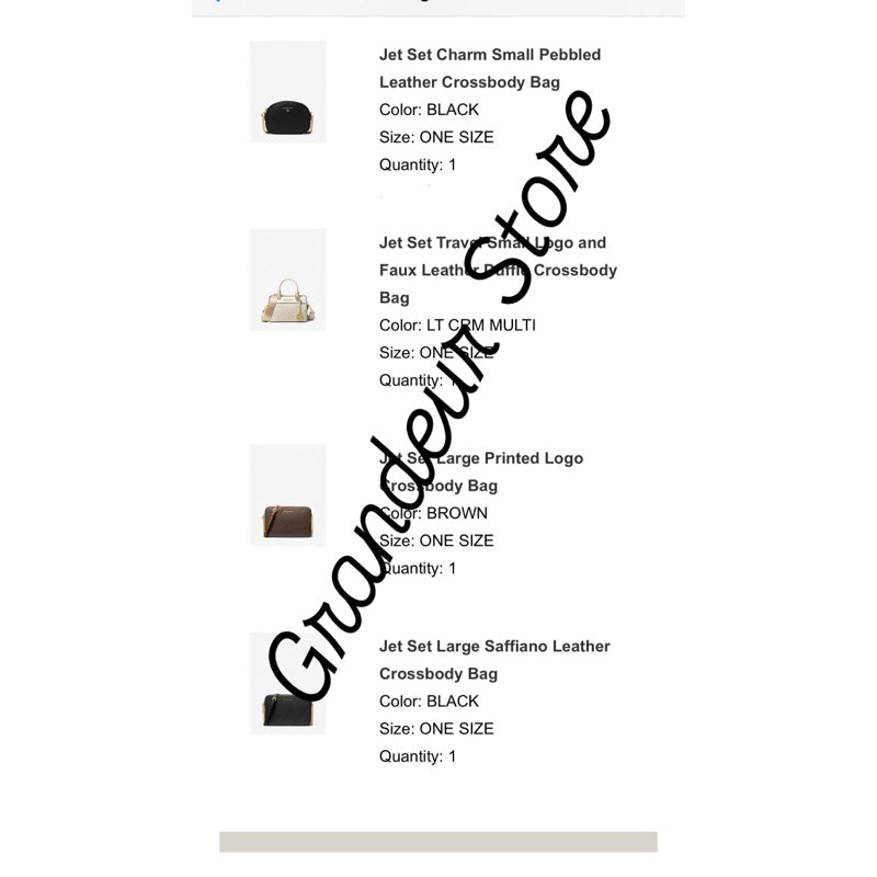 ORIGINAL & IMPORTED MK Jet Set Large Crossbody Camera Bag in Signature