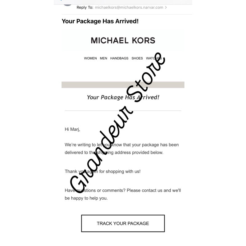 ORIGINAL & IMPORTED MK Jet Set Large Crossbody Camera Bag in Signature