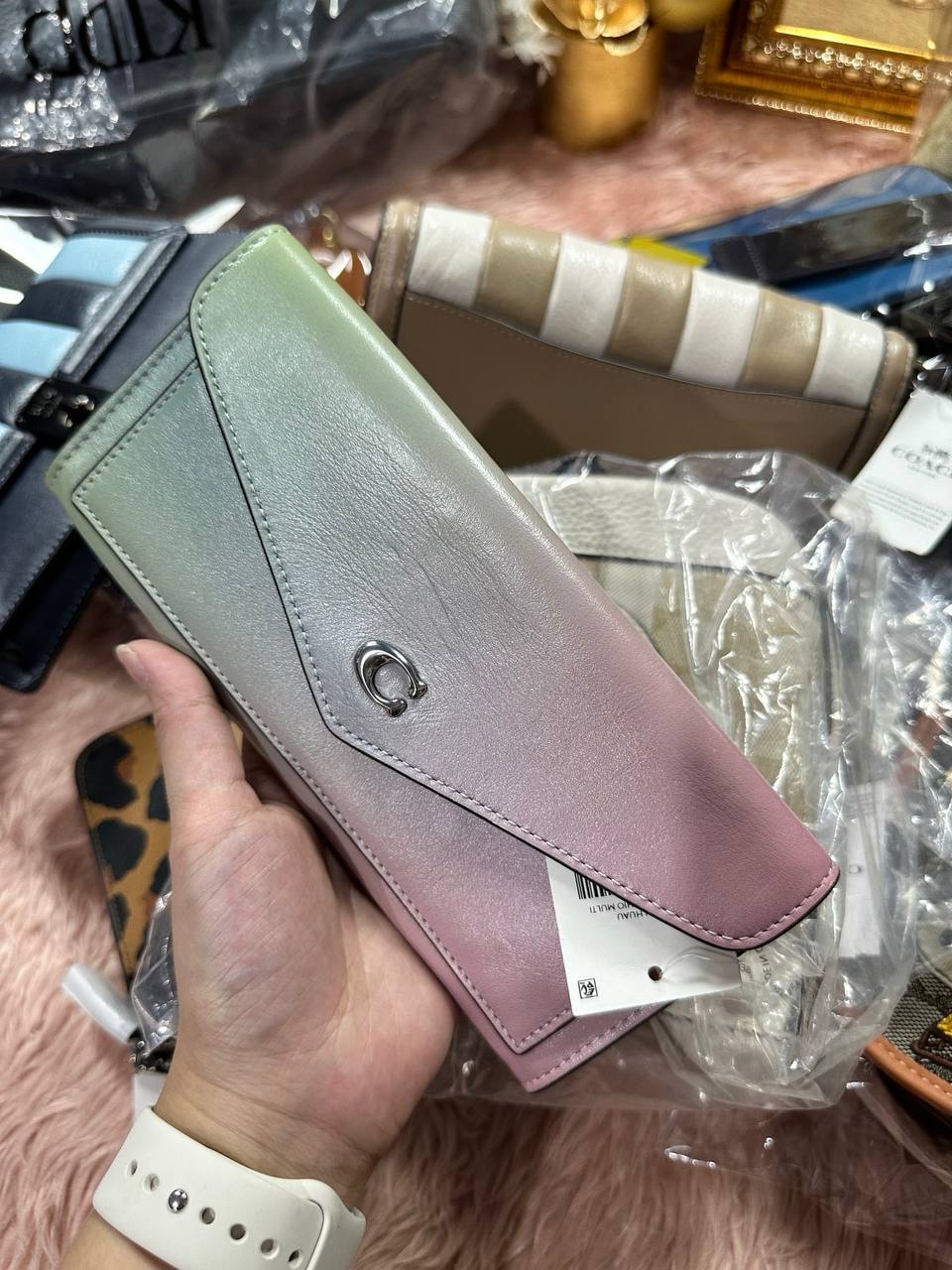 ORIG & IMPORTED COACH Wyn Long Ombre Flap Wallet