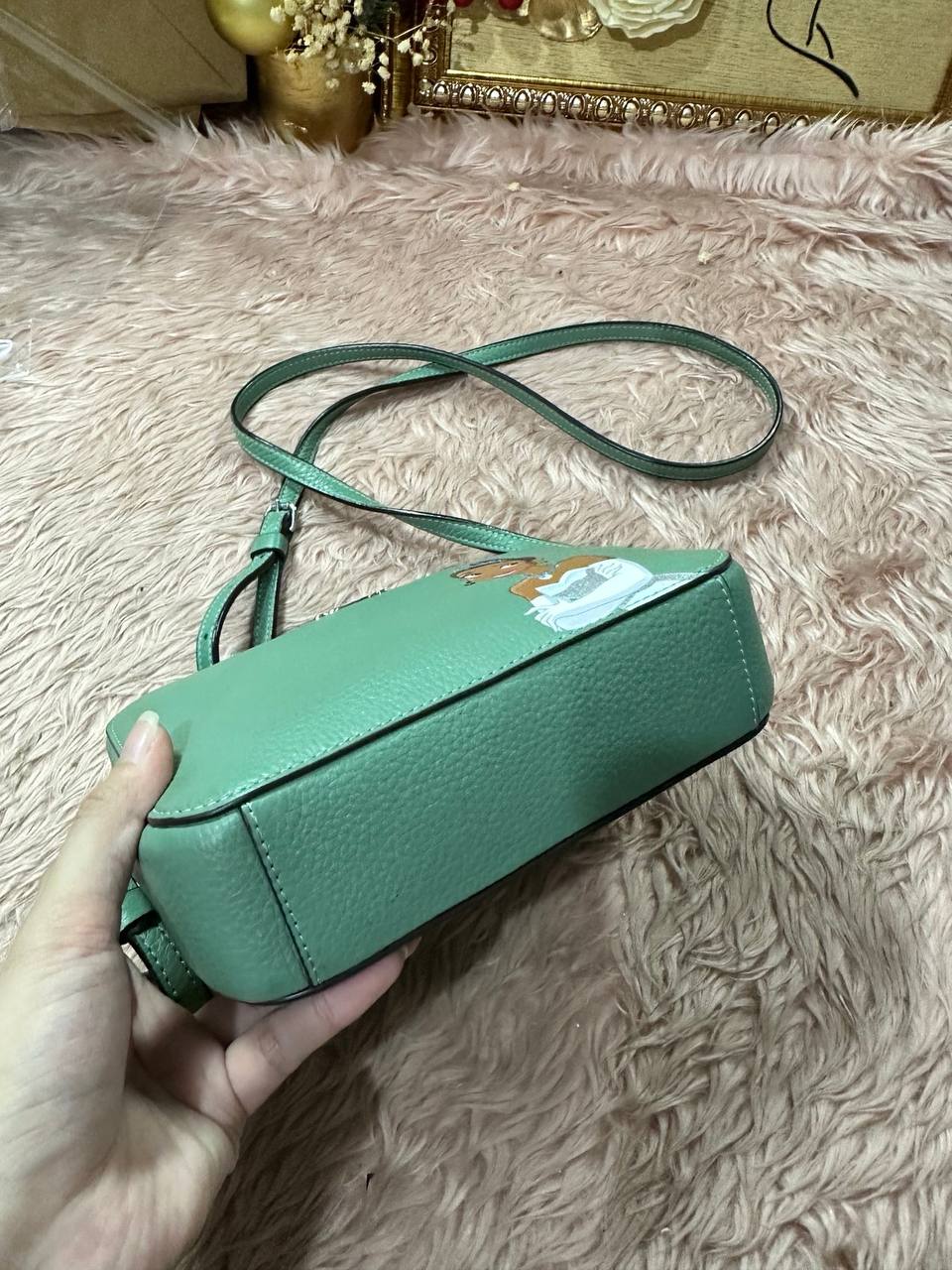 ORIG Preloved Disney X Coach RARE Mini Camera Bag With Tiana Green Small Bag