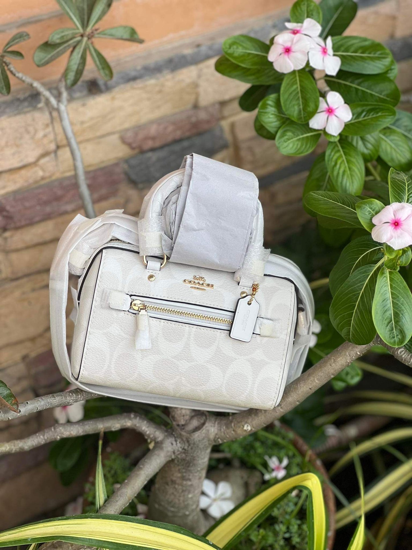 AUTHENTIC/ORIGINAL Mini Rowan Crossbody In Signature Canvas
