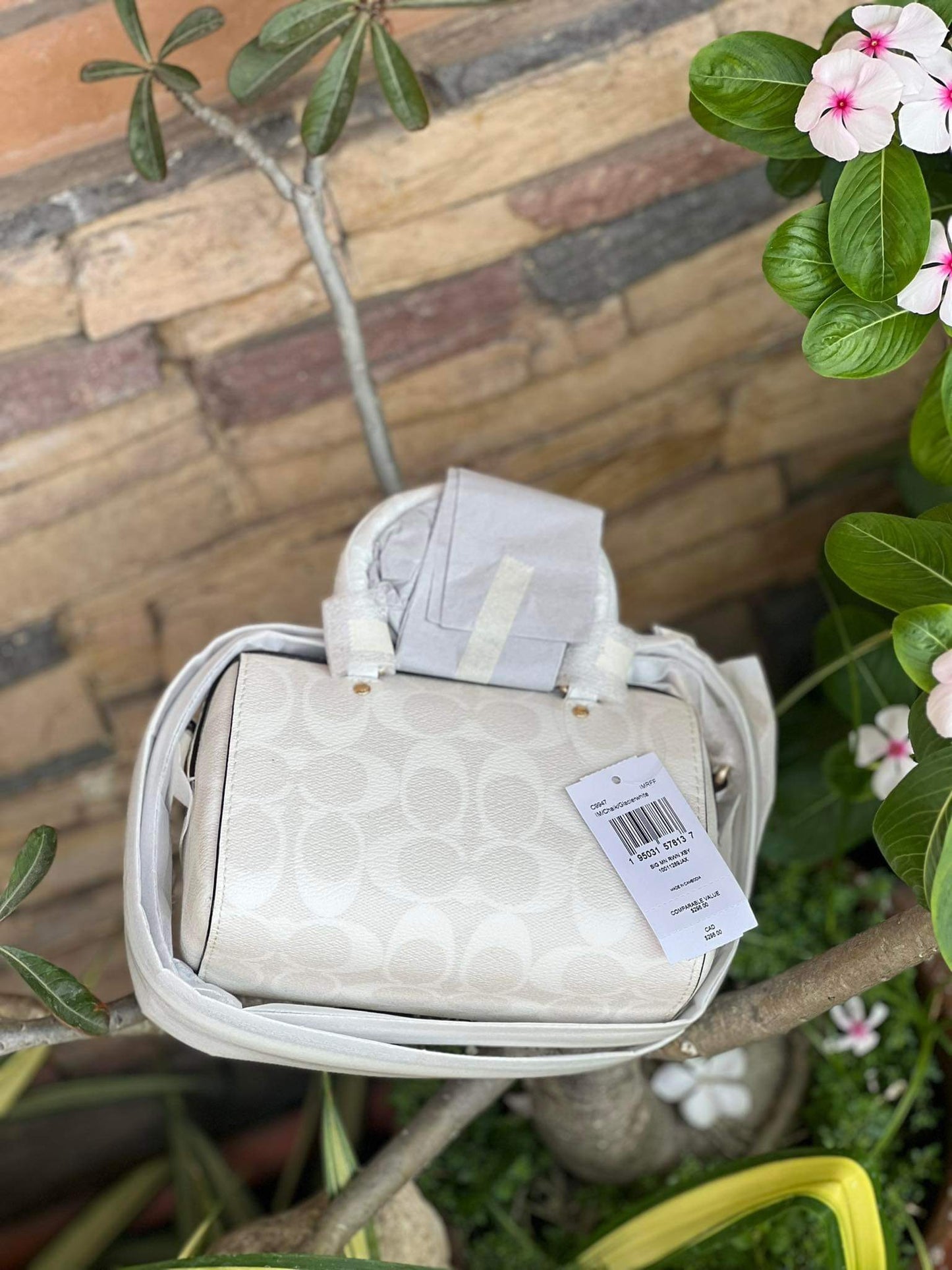 AUTHENTIC/ORIGINAL Mini Rowan Crossbody In Signature Canvas