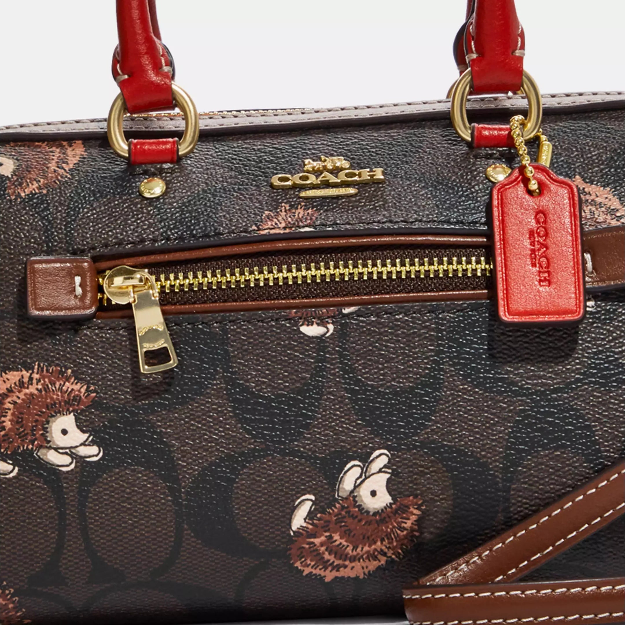 Coach mini authentic Rowan crossbody with hedgehog print