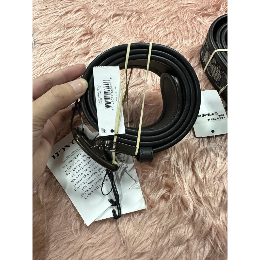 ORIG & IMPORTED CCH Retail Harness Buckle Belt, 38 Mm for Women