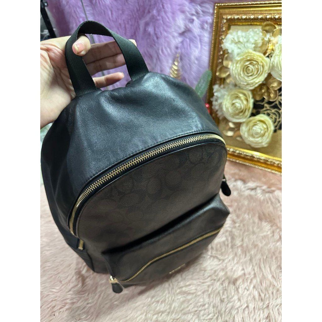 ORIG Preloved CCH Charlie Large Brown Backpack