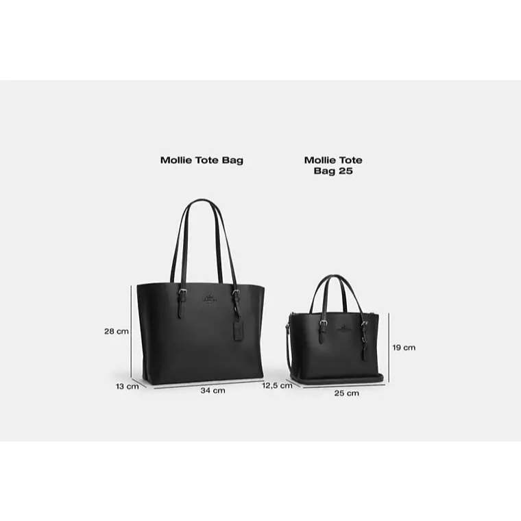 ORIG & IMPORTED C0@CH Mollie Tote Bag 25 With Cherry Print