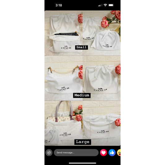 ORIG DESIGNER BRAND DUSTBAG