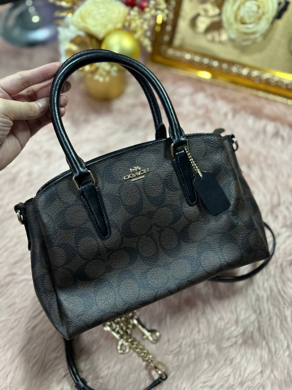 ORIG Preloved COACH Mini Sage Carryall Signature Brown Black Small Bag