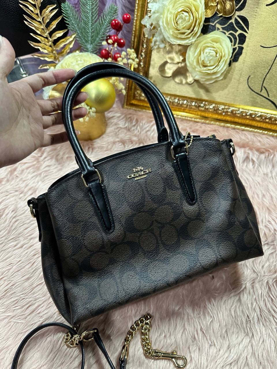 ORIG Preloved COACH Mini Sage Carryall Signature Brown Black Small Bag