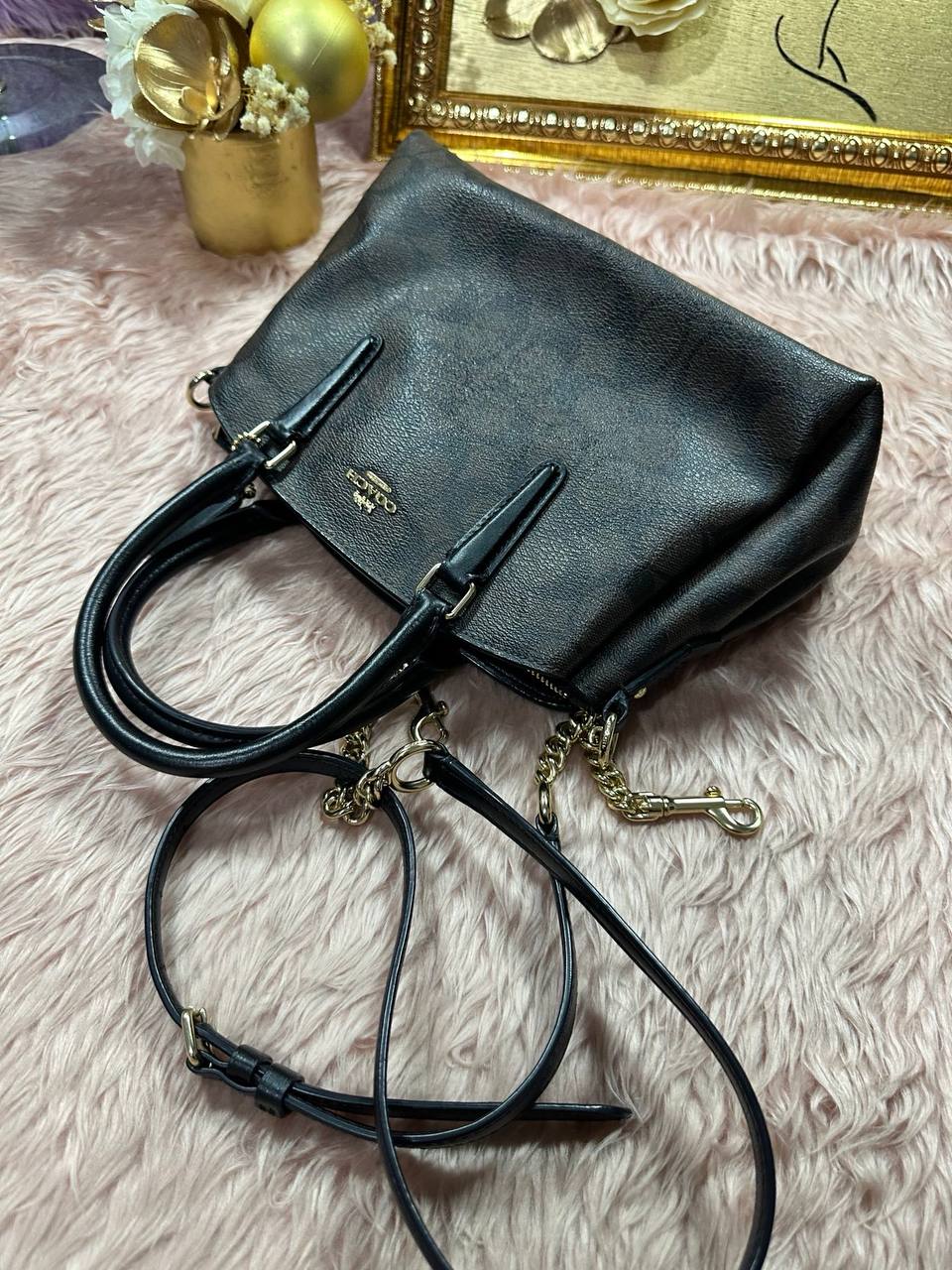 ORIG Preloved COACH Mini Sage Carryall Signature Brown Black Small Bag