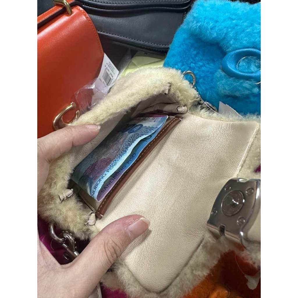 ORIG & IMPORTED CCH Orange Retail The Lil Nas Tabby 12 In Shearling Fur Mini Bag