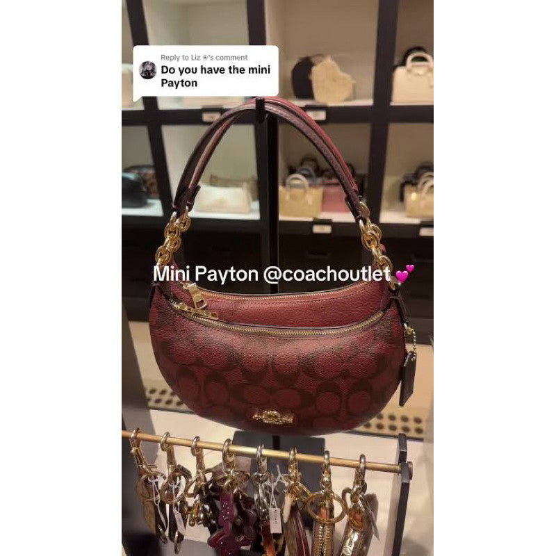 ORIG & IMPORTED CCH Payton Mini Small Brown Bag