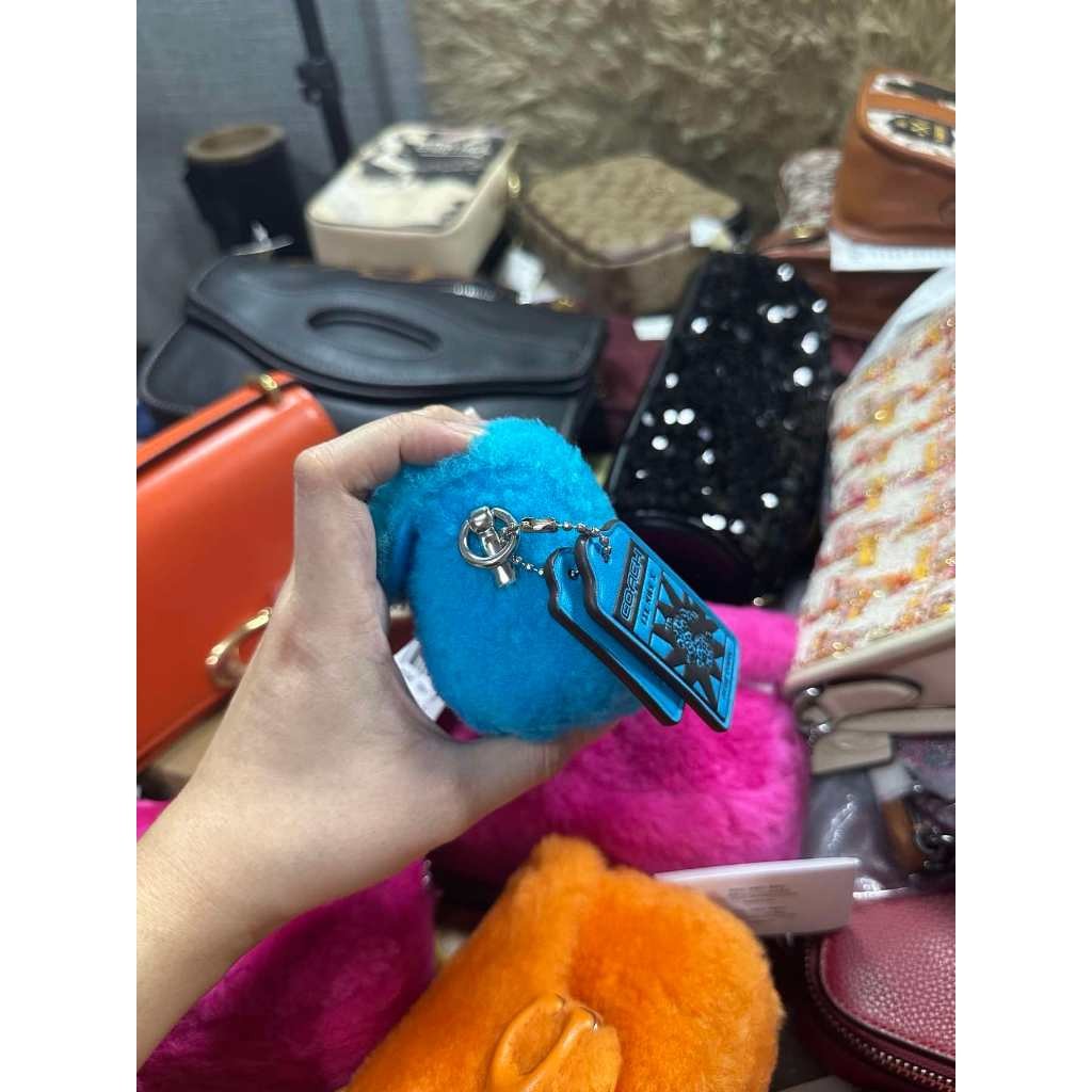 ORIG & IMPORTED CCH Blue Retail The Lil Nas Tabby 12 In Shearling Fur Mini Bag