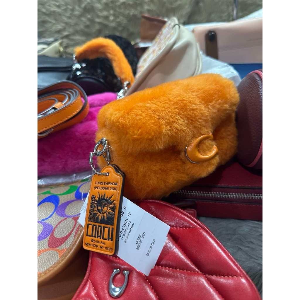 ORIG & IMPORTED CCH Orange Retail The Lil Nas Tabby 12 In Shearling Fur Mini Bag