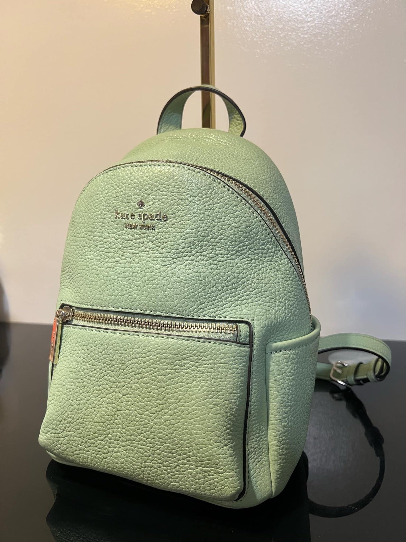 ORIG Preloved KS Leila Pebbled Leather Mini Dome Backpack Sage Bag