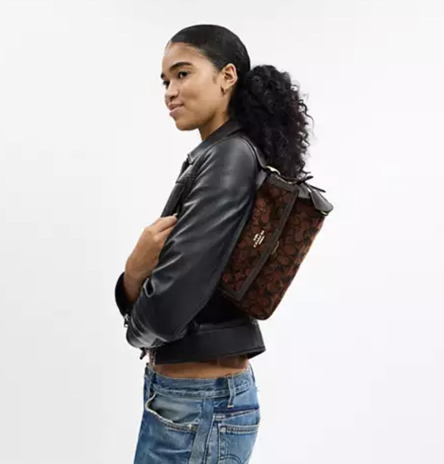 ORIG & IMPORTED Coach Etta Small Flap Shoulder Brown Bag In Signature Chenille