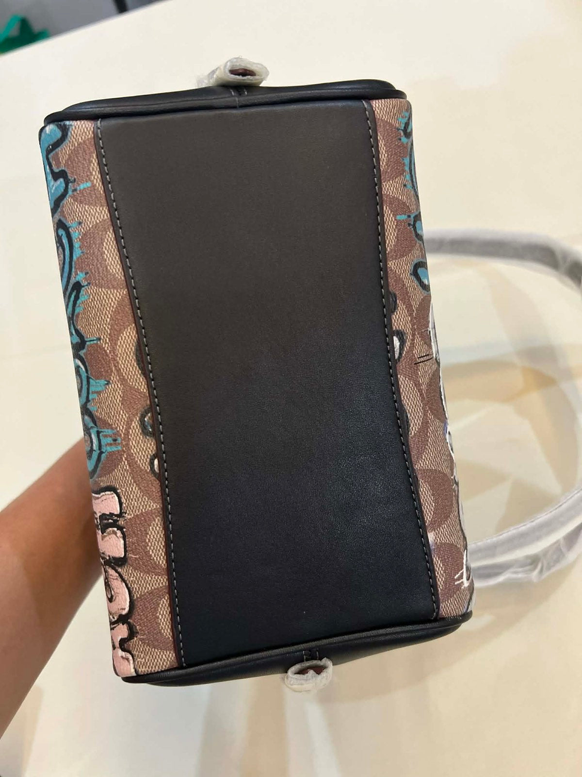 ORIG & IMPORTED Coach X Mint + Serf Sydney Satchel In Signature Canvas