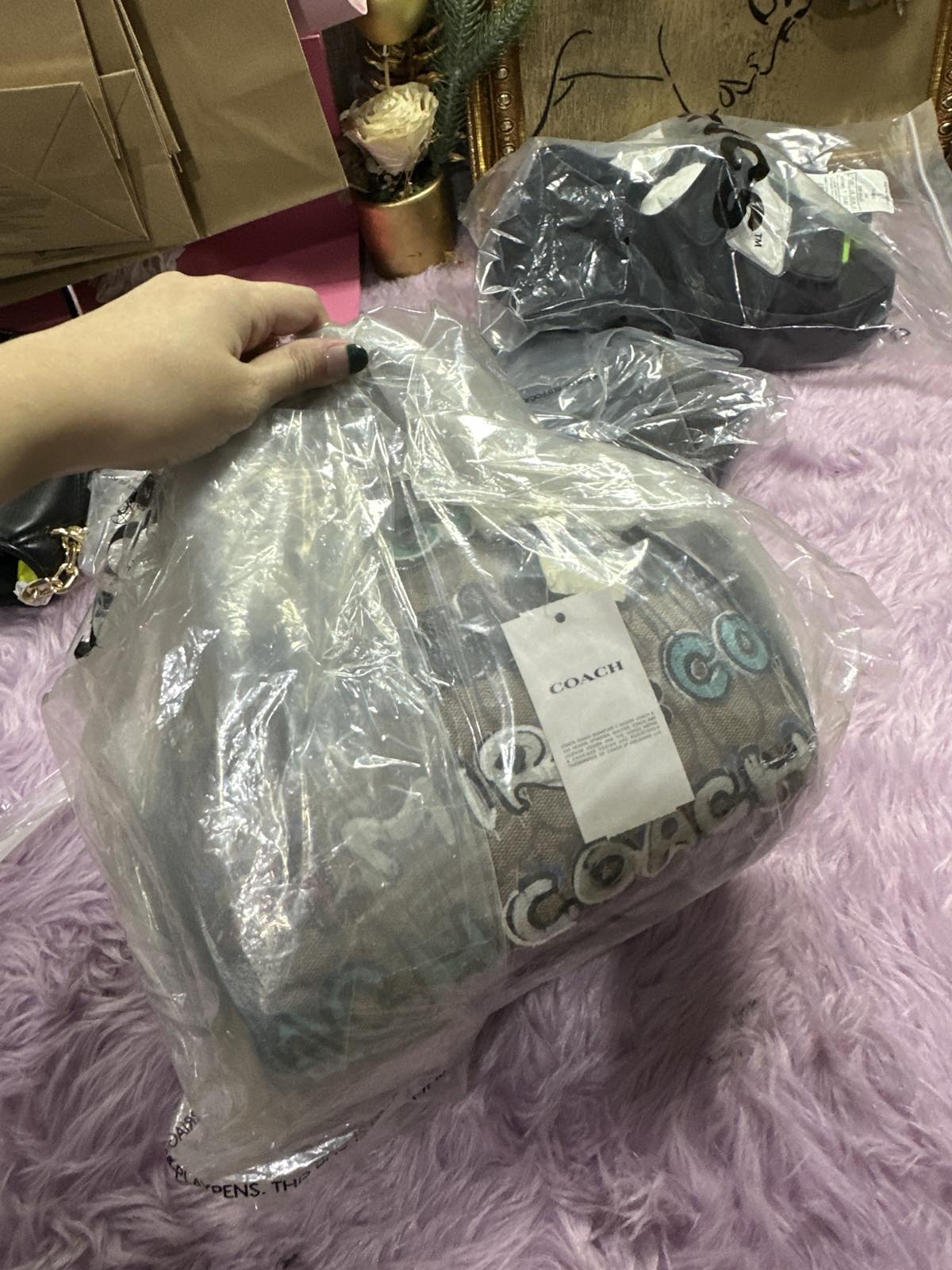 ORIG & IMPORTED Coach X Mint + Serf Sydney Satchel In Signature Canvas