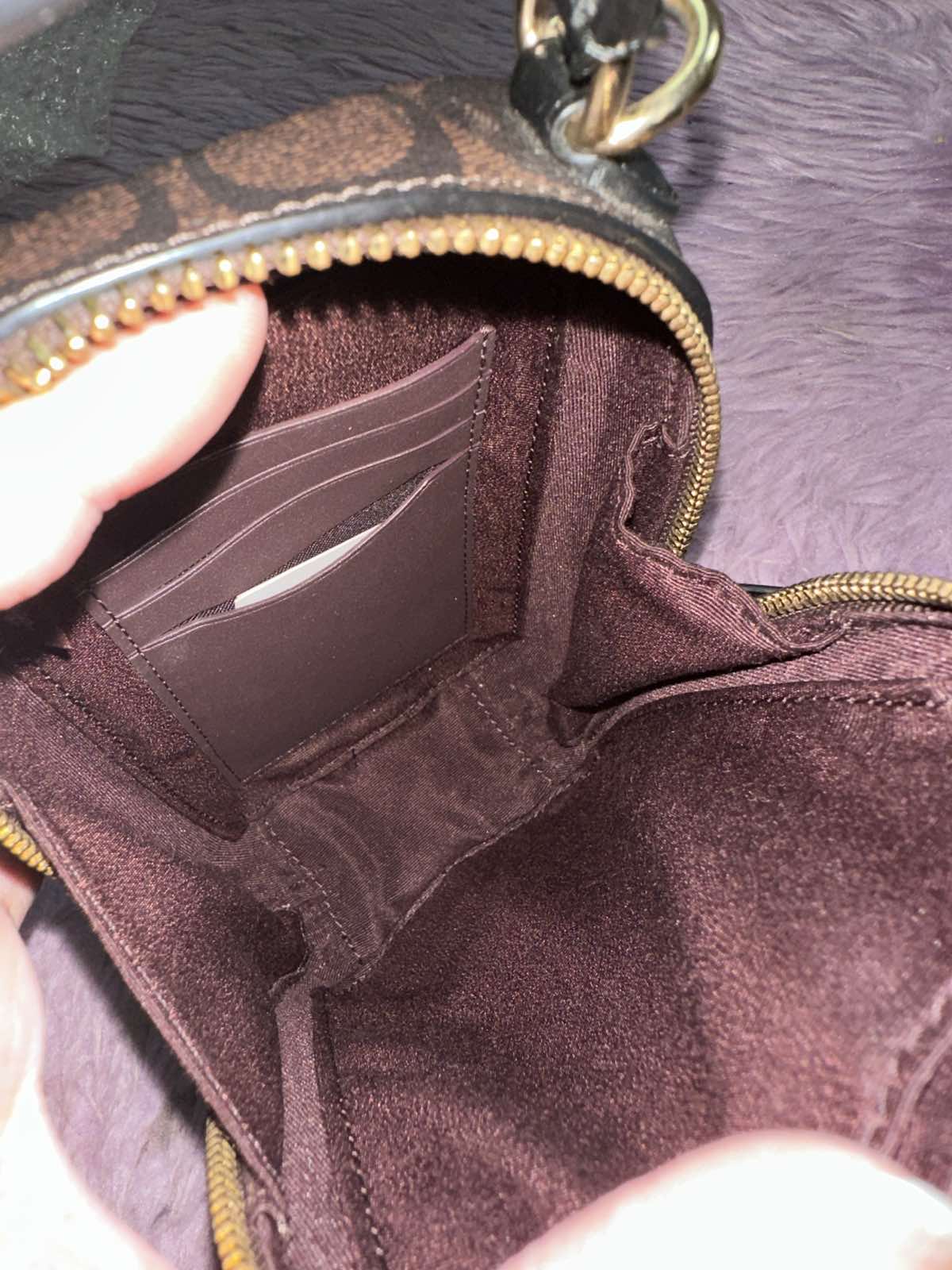 ORIG Preloved Coach Eva Phone Crossbody Small Brown Bag